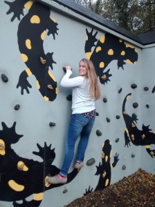 climbinglizard