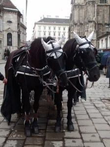 horseswithearmuffs