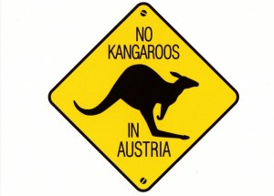 kangaroos