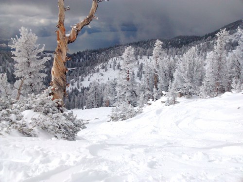 Fresh powder at Heavenly with Lake Tahoe in the background