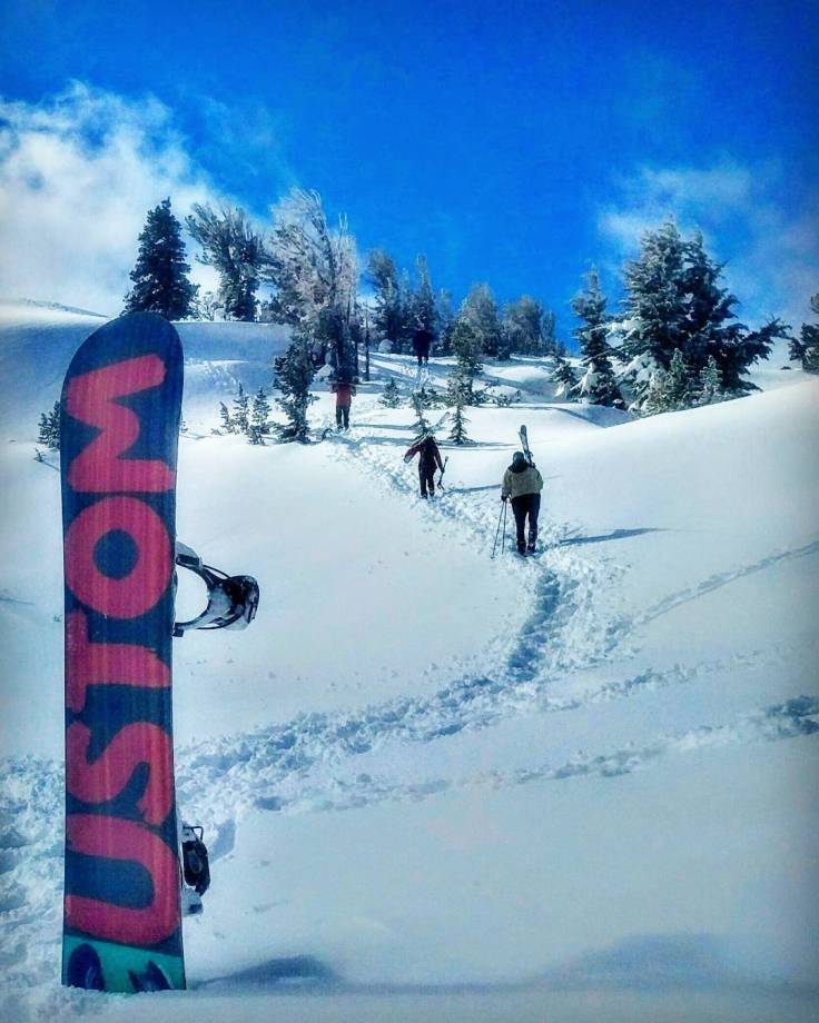 12496311_10153417021464779_4276119006791488643_o