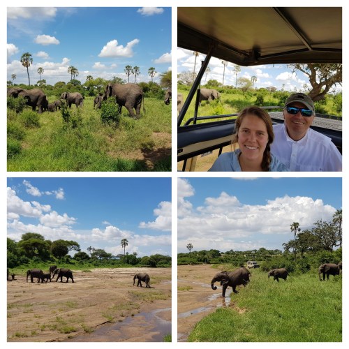 20181231_140517-collage