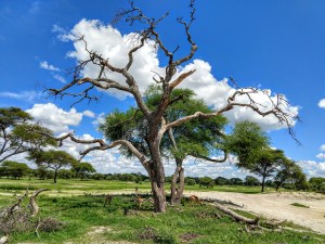 img_20181231_132610900_hdr