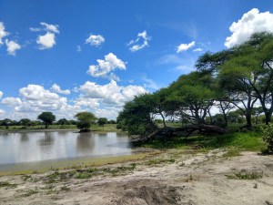 img_20181231_133224638_hdr