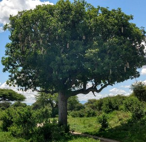 img_20181231_134001400_hdr