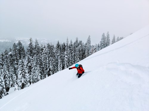 clone tag: 2599750358027919528