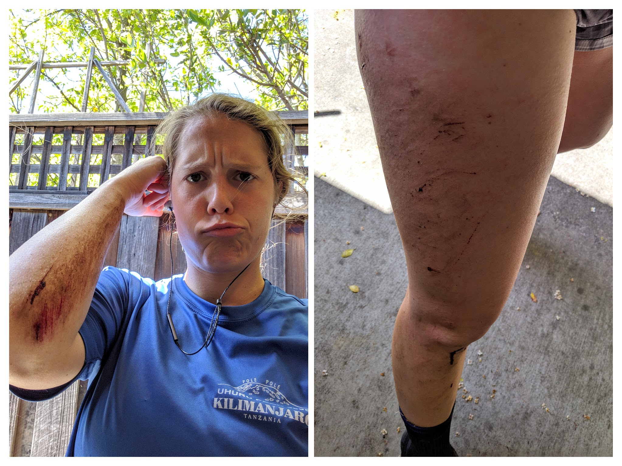 IMG_20190421_135644-COLLAGE