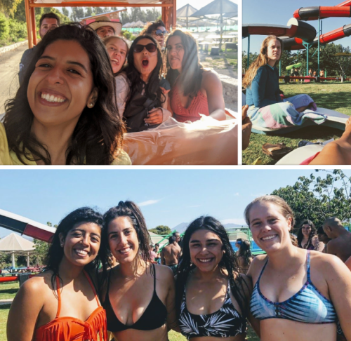 Screen Shot 2020-03-29 at 1.10.50 PM